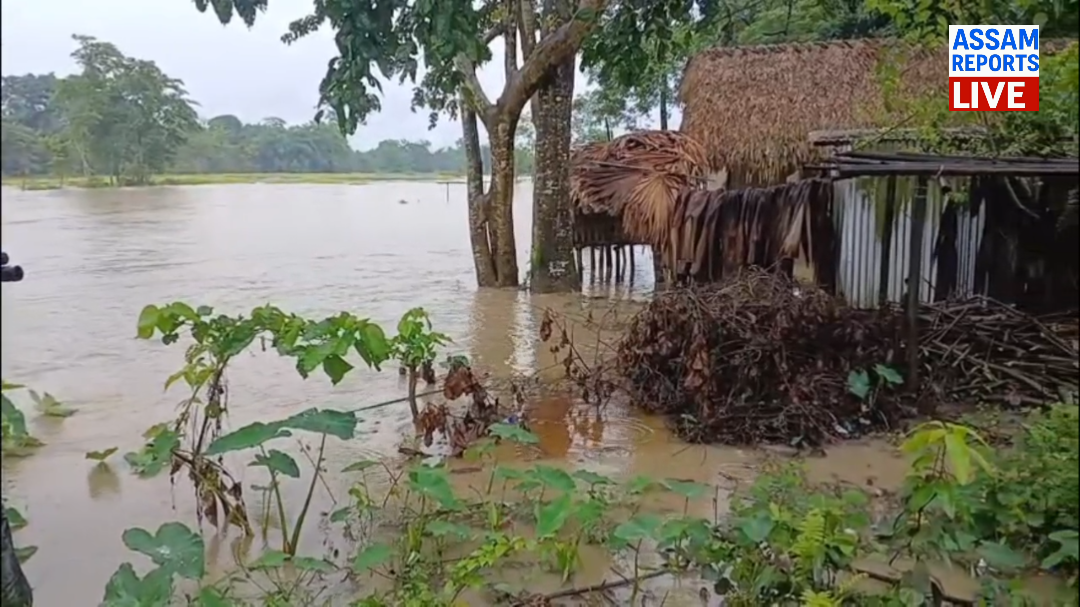 মাৰ্ঘেৰিটাত বুঢ়ীদিহিঙৰ কা*ল*ৰূ*প!